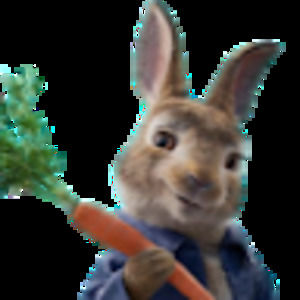 Meet your Posher, Autumn